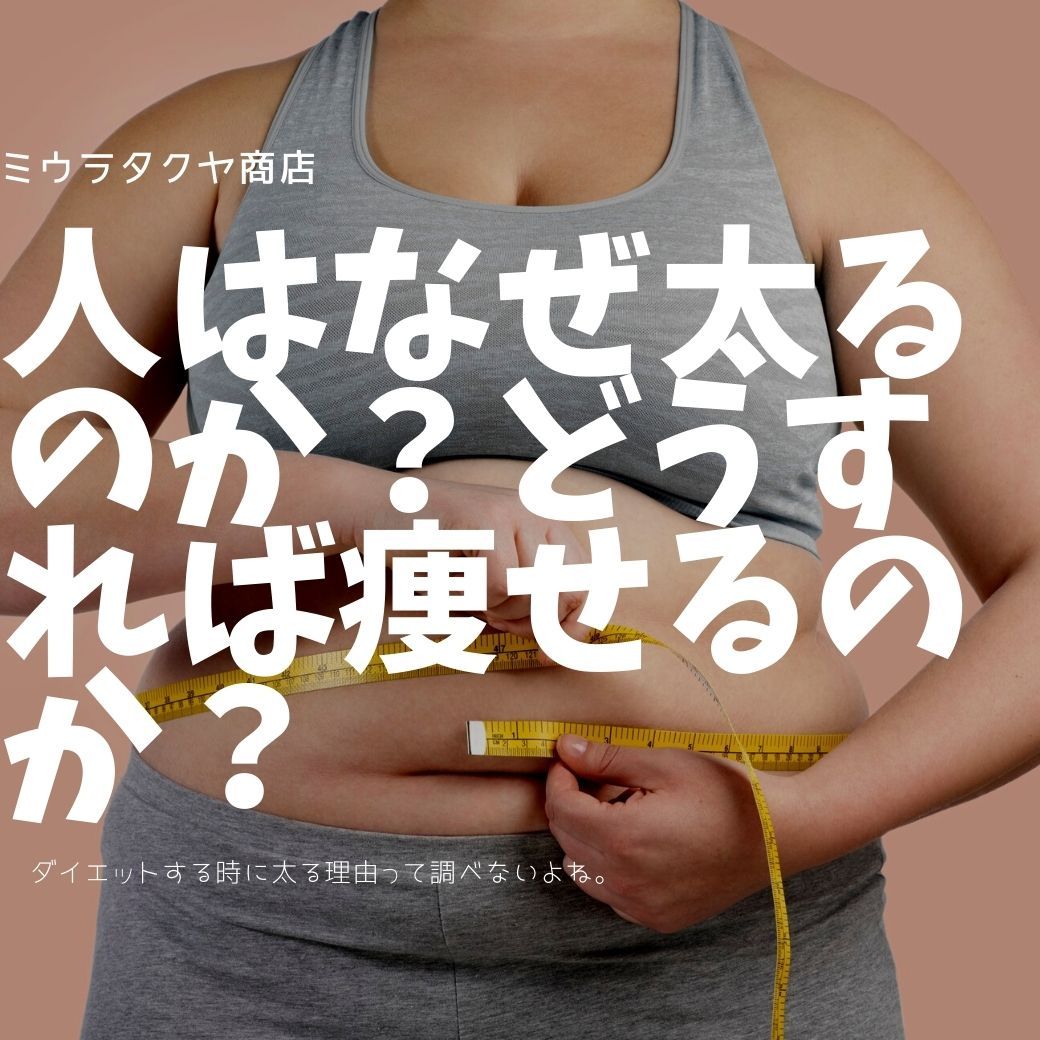 人はなぜ太るのか?どうすれば痩せるのか? | ミウラタクヤ商店