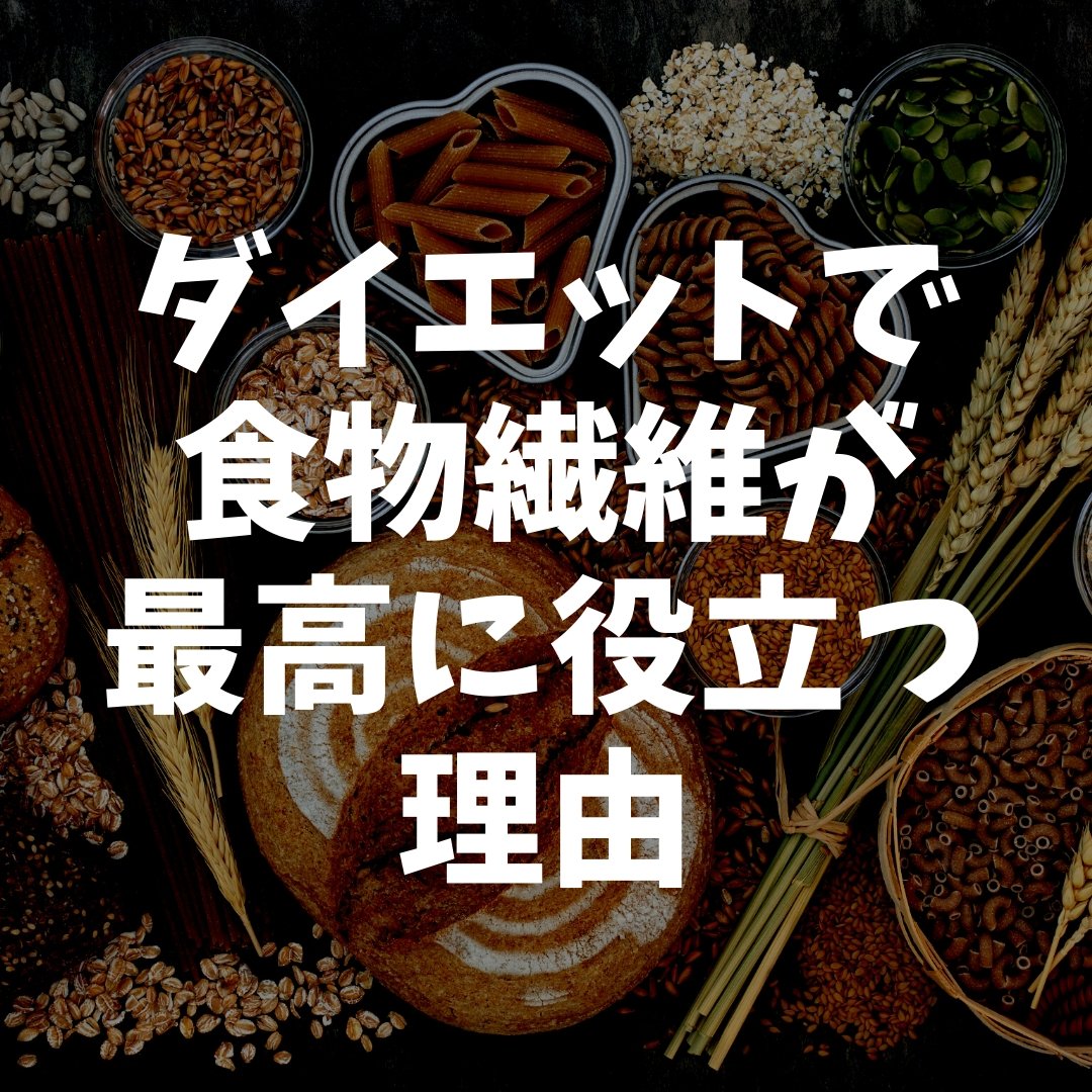 素晴らしきかな、食物繊維(まとめ記事) | ミウラタクヤ商店