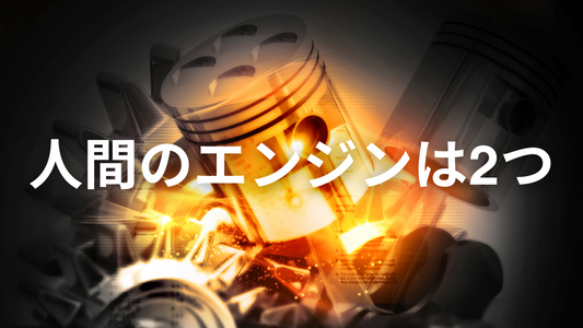 ケトジェニックと代謝柔軟性について（人間のエンジンは2つある）