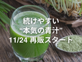 青汁が11月24日から出荷再開になります。