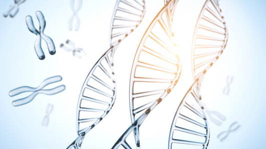 肥満遺伝子って存在するの？