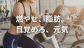 脂肪を燃やすと、なぜ「元気」になるのか？